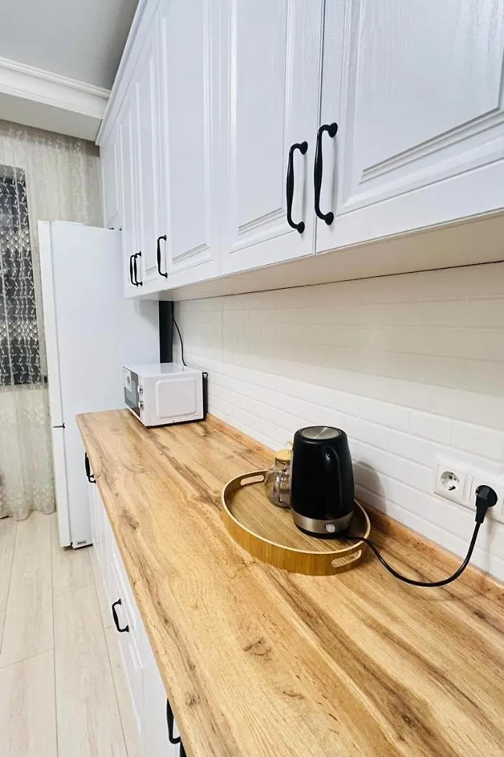 Жк Дом На Гагарина Apartment Almaty Kazakhstan
